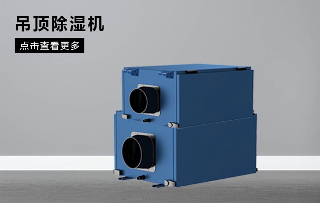 雙十一除濕機，要買哪一款
