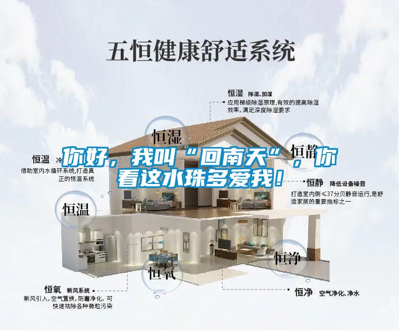 你好，我叫“回南天”，你看這水珠多愛我！