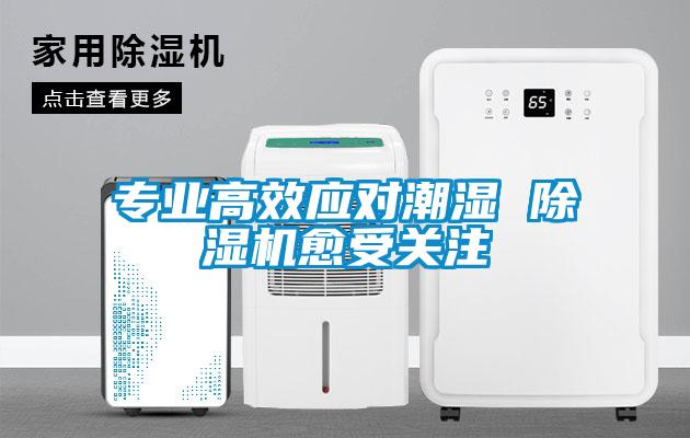 專業(yè)高效應(yīng)對潮濕 除濕機(jī)愈受關(guān)注