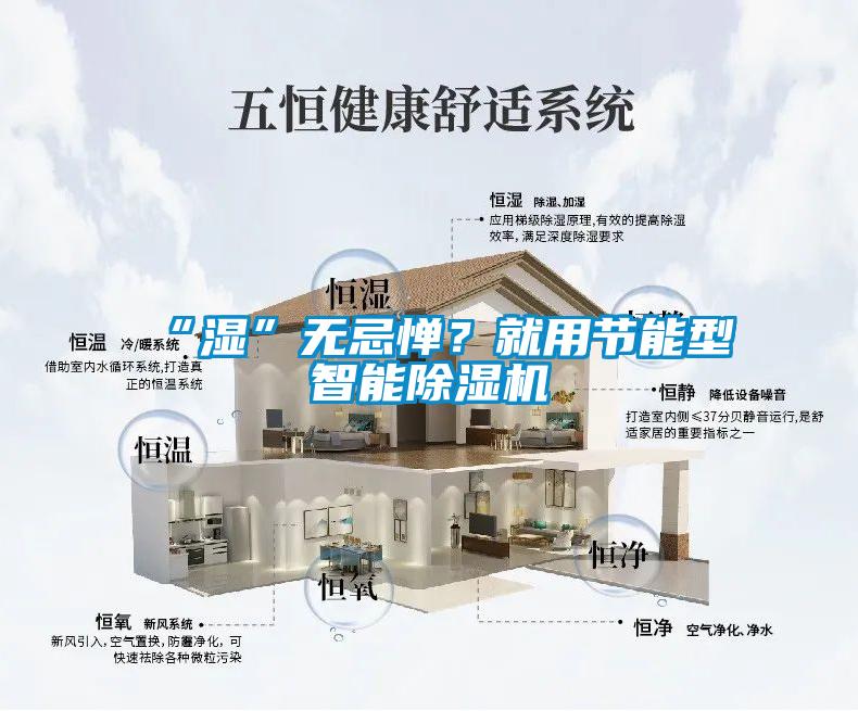 “濕”無忌憚？就用節(jié)能型智能除濕機