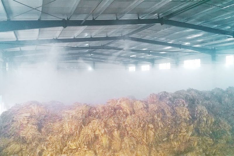 提升煙葉加工質量，高效回潮很重要