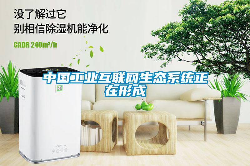 中國工業(yè)互聯(lián)網生態(tài)系統(tǒng)正在形成