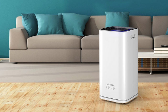 梅雨季節(jié)如何保持狗狗身體干燥?