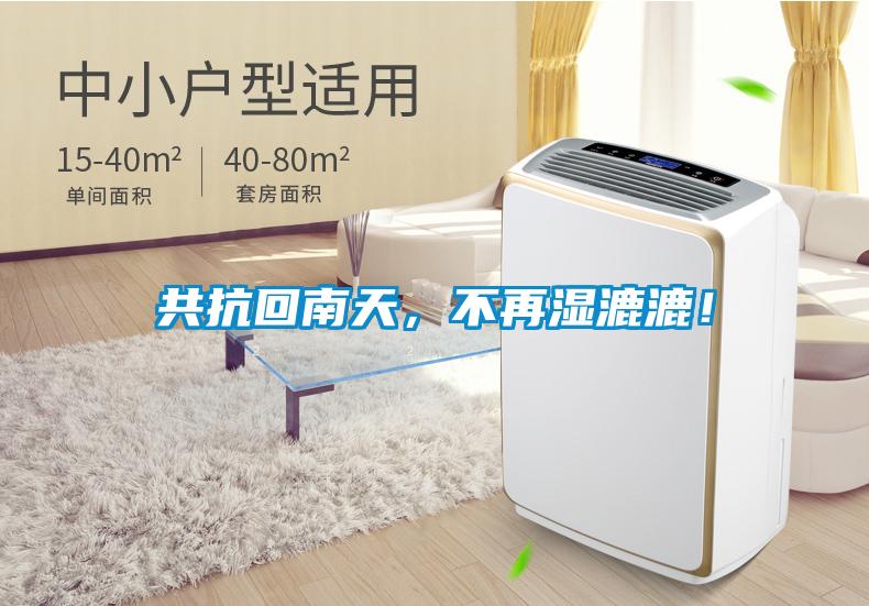 共抗回南天，不再濕漉漉！