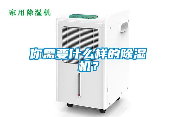 你需要什么樣的除濕機？