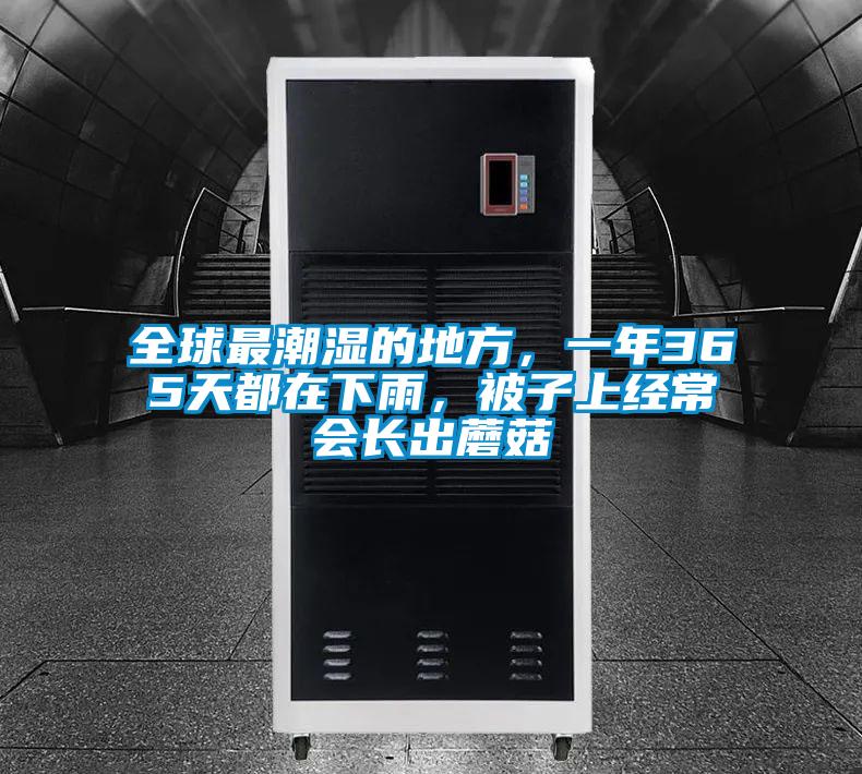 全球最潮濕的地方，一年365天都在下雨，被子上經(jīng)常會長出蘑菇