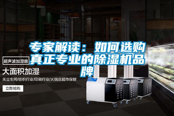 專家解讀:如何選購真正專業(yè)的除濕機品牌