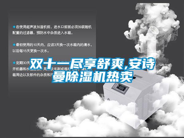 雙十一盡享舒爽,安詩(shī)曼除濕機(jī)熱賣