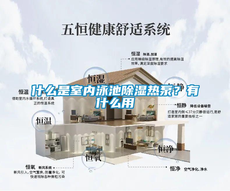 什么是室內泳池除濕熱泵？有什么用