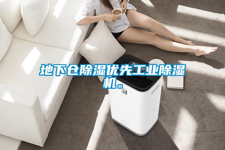 地下倉除濕優先工業除濕機。