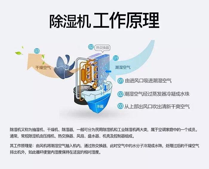 冷庫消毒用什么好？冷庫霧化消毒機