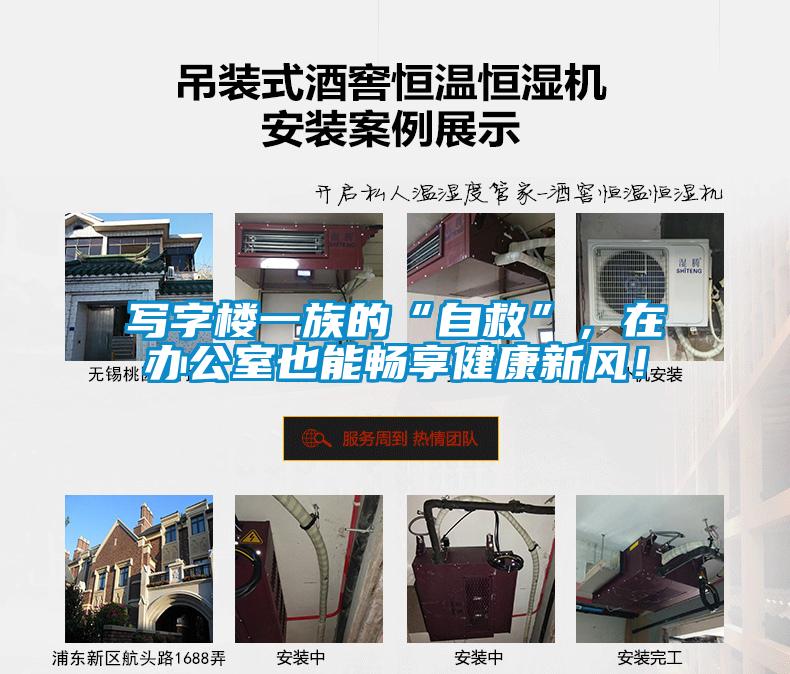 寫字樓一族的“自救”，在辦公室也能暢享健康新風！