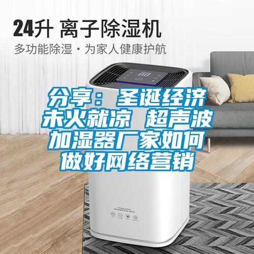 分享：圣誕經(jīng)濟未火就涼 超聲波加濕器廠家如何做好網(wǎng)絡(luò)營銷