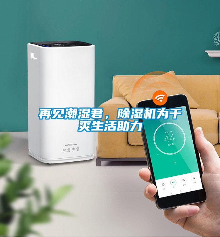 再見潮濕君，除濕機為干爽生活助力