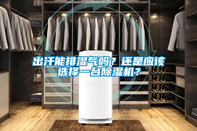 出汗能排濕氣嗎？還是應該選擇一臺除濕機？