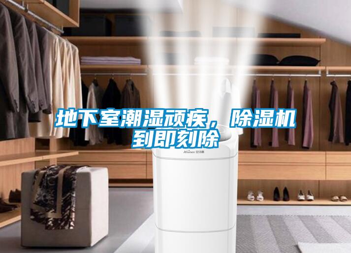 地下室潮濕頑疾，除濕機(jī)到即刻除