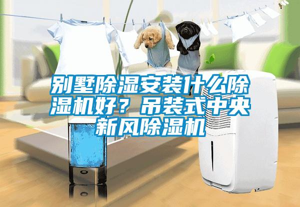 別墅除濕安裝什么除濕機好？吊裝式中央新風除濕機