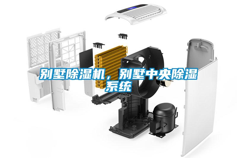 別墅除濕機，別墅中央除濕系統(tǒng)