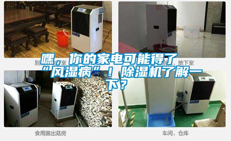 嘿，你的家電可能得了“風(fēng)濕病”！除濕機(jī)了解一下？