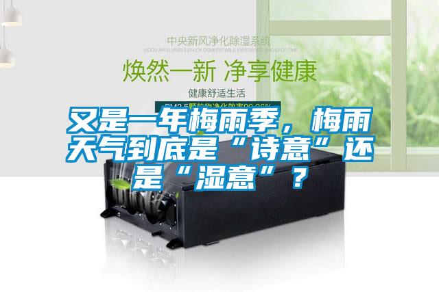 又是一年梅雨季，梅雨天氣到底是“詩意”還是“濕意”？