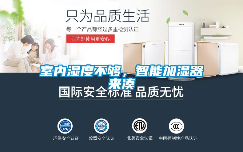 室內濕度不夠，智能加濕器來湊