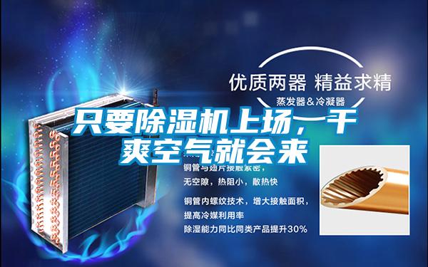只要除濕機上場，干爽空氣就會來