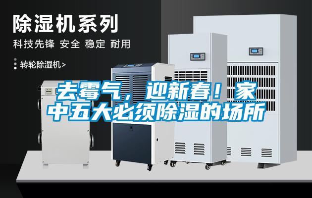 去霉氣，迎新春！家中五大必須除濕的場所