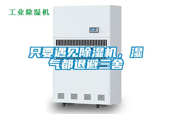 只要遇見除濕機，濕氣都退避三舍