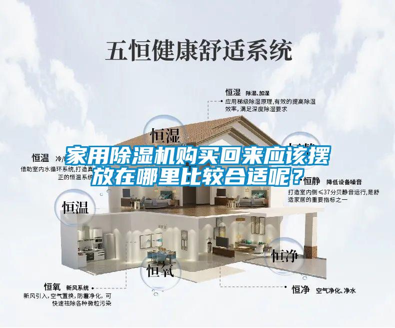 家用除濕機購買回來應該擺放在哪里比較合適呢？