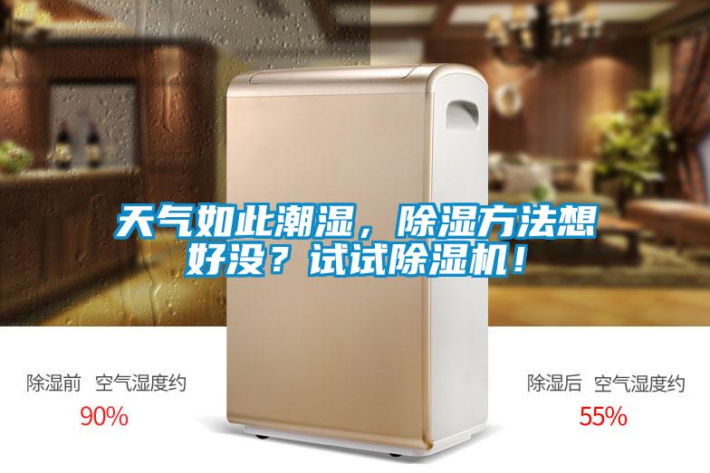 天氣如此潮濕，除濕方法想好沒？試試除濕機！