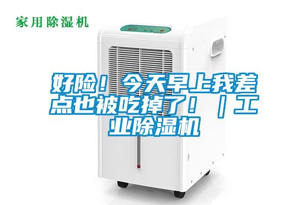 好險！今天早上我差點也被吃掉了！｜工業(yè)除濕機