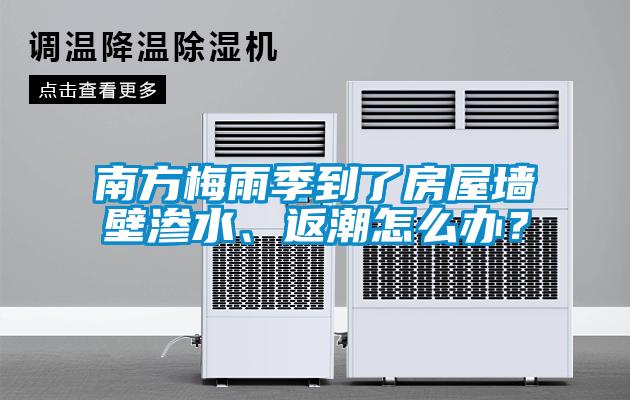 南方梅雨季到了房屋墻壁滲水、返潮怎么辦？