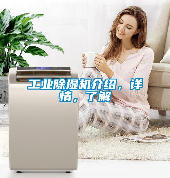 工業(yè)除濕機介紹，詳情，了解