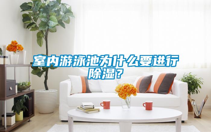 室內游泳池為什么要進行除濕？