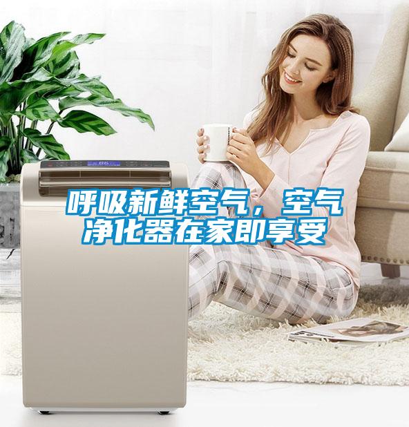 呼吸新鮮空氣，空氣凈化器在家即享受
