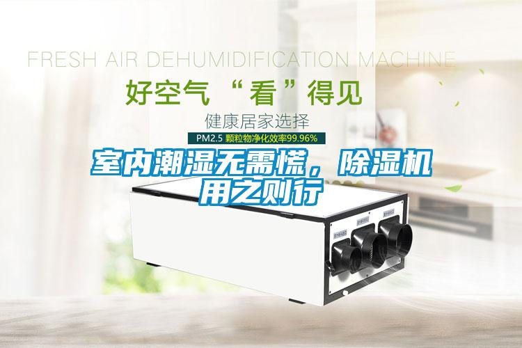 室內潮濕無需慌，除濕機用之則行