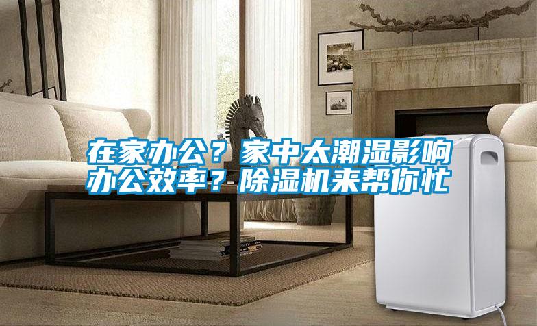 在家辦公？家中太潮濕影響辦公效率？除濕機來幫你忙