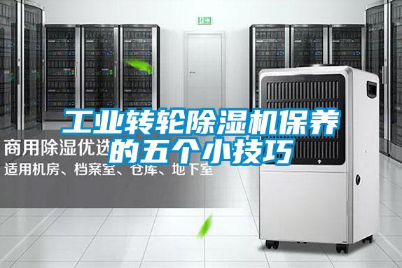 工業(yè)轉輪除濕機保養(yǎng)的五個小技巧