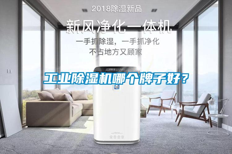 工業(yè)除濕機(jī)哪個牌子好？