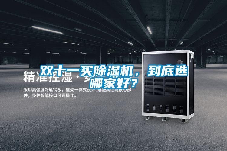 雙十一買除濕機，到底選哪家好？