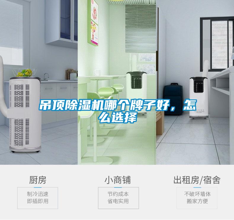 吊頂除濕機(jī)哪個(gè)牌子好,怎么選擇