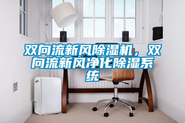 雙向流新風(fēng)除濕機，雙向流新風(fēng)凈化除濕系統(tǒng)