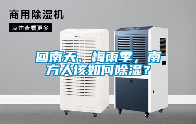 回南天、梅雨季，南方人該如何除濕？