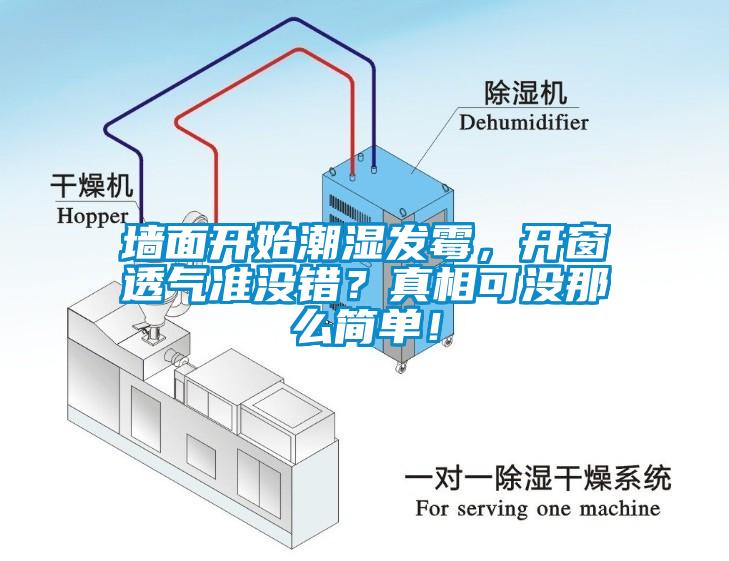 墻面開始潮濕發(fā)霉，開窗透氣準沒錯？真相可沒那么簡單！