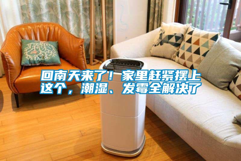 回南天來(lái)了！家里趕緊擺上這個(gè)，潮濕、發(fā)霉全解決了