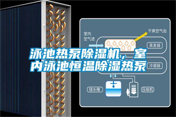 泳池熱泵除濕機，室內泳池恒溫除濕熱泵