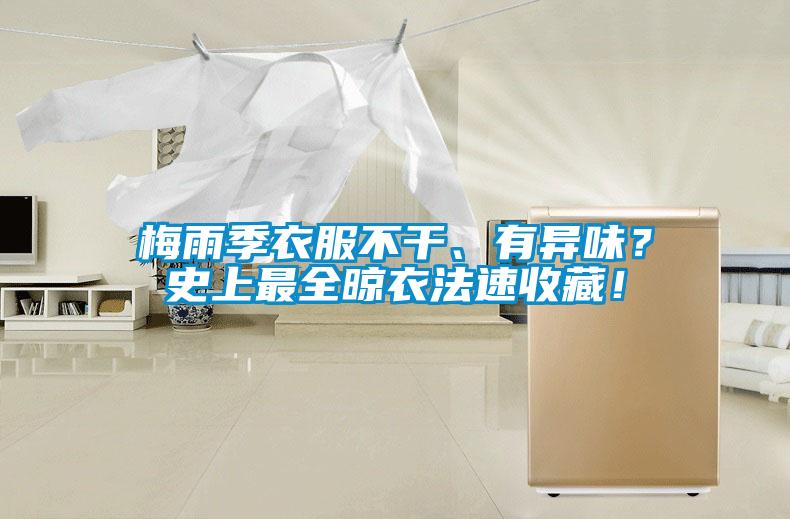 梅雨季衣服不干、有異味？史上最全晾衣法速收藏！