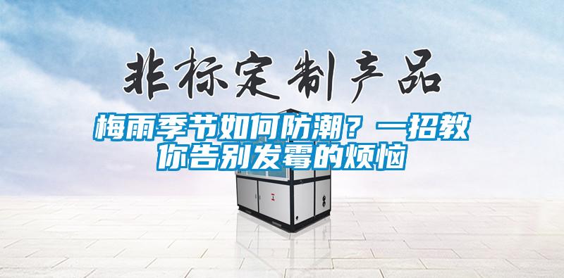 梅雨季節如何防潮？一招教你告別發霉的煩惱