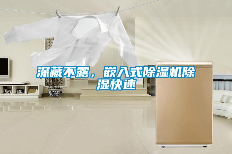 深藏不露，嵌入式除濕機除濕快速