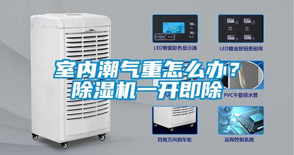 室內(nèi)潮氣重怎么辦？除濕機一開即除